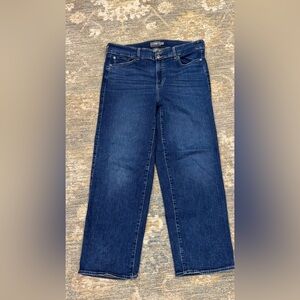 Torrid Indigo Denim Jeans